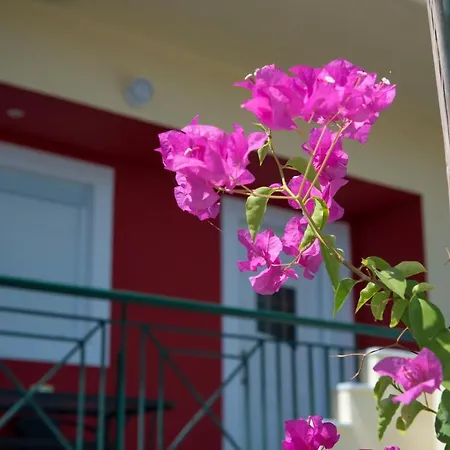 Stayzeta Διαμέρισμα *