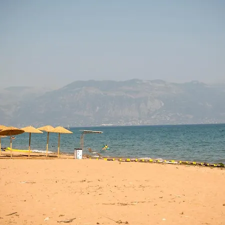 Stayzeta * Analipsis (Messinia)